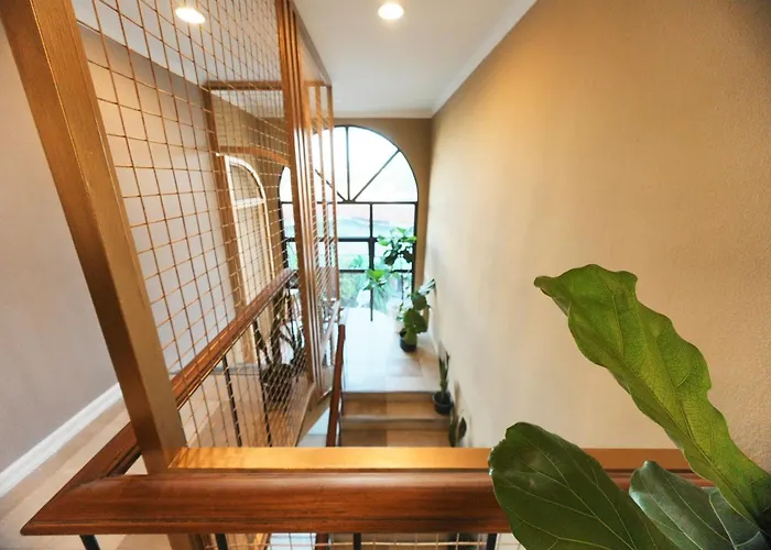 Hotel Maximo House Cebu Stadt